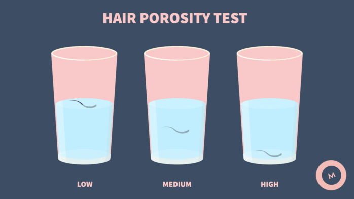 Take-this-hair-porosity-test-to-find-out-if-you-have-low-hair-porosity-or-high-hair-porosity