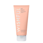 Wishful Get Clean 2% PHA & Sea Moss Gentle Foaming Cleanser 